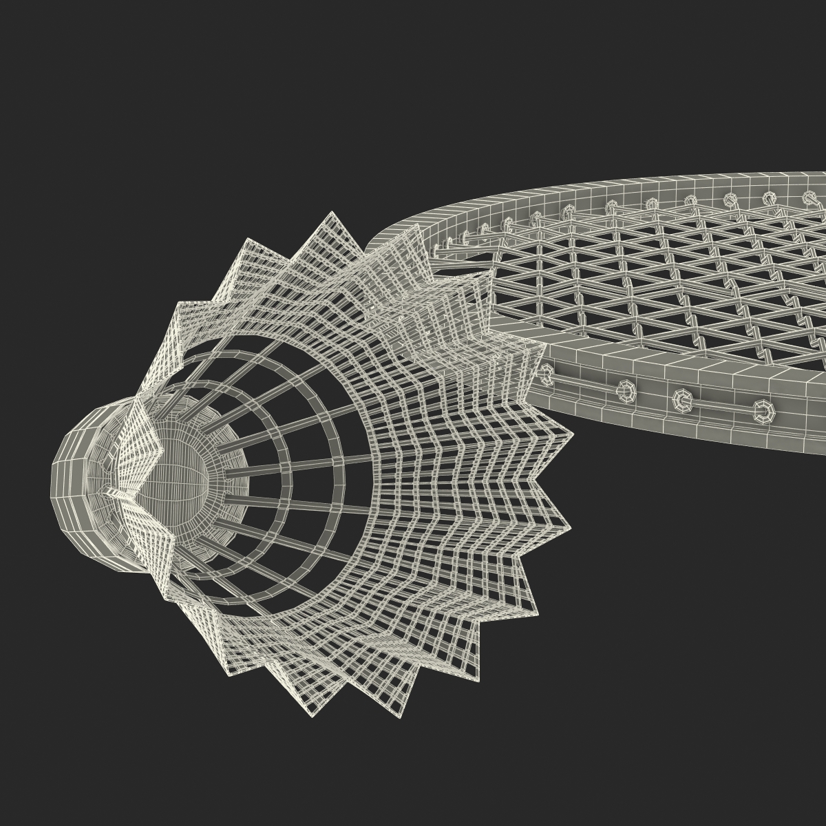 Badminton Racket 2 and Shuttlecock 3D model