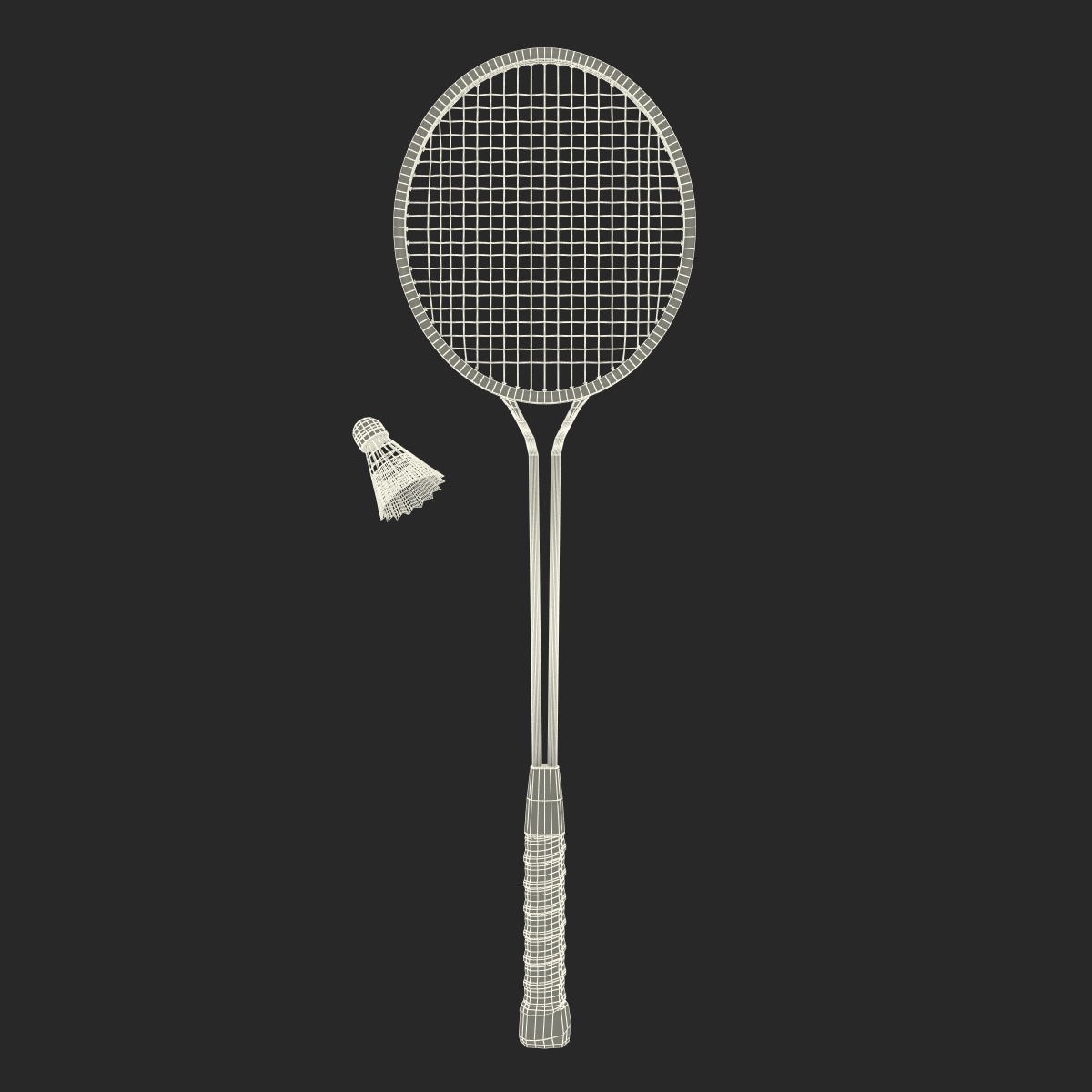 3D Badminton Racket 2 and Shuttlecock 2