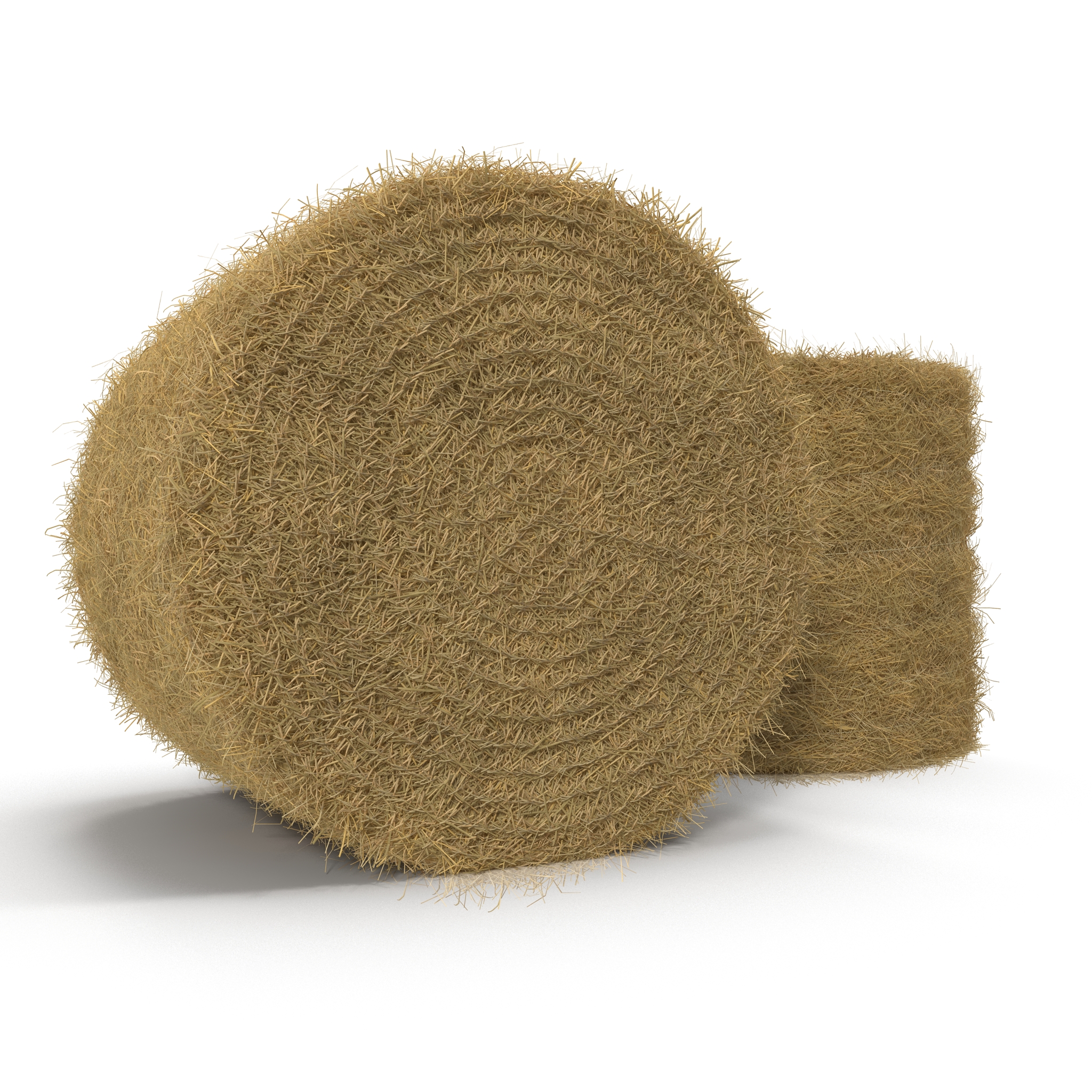 3D model Hay Roll