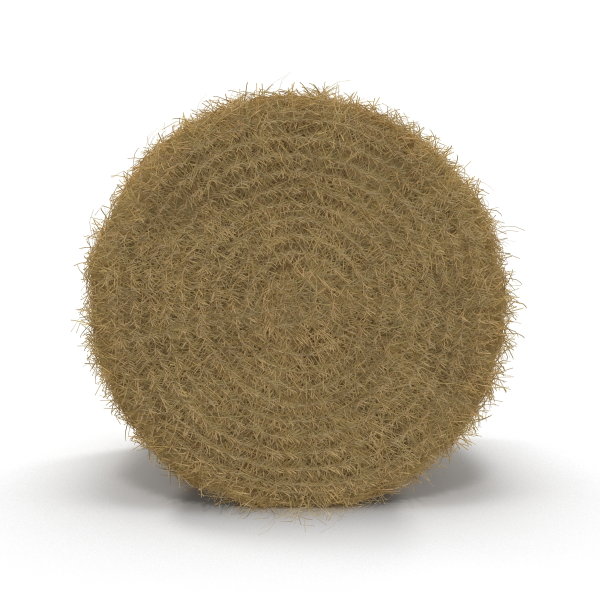 3D model Hay Roll