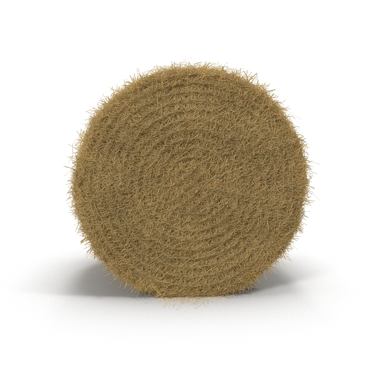 3D model Hay Roll