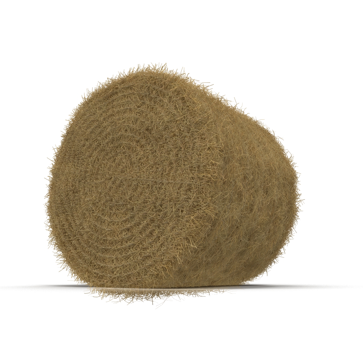 3D model Hay Roll