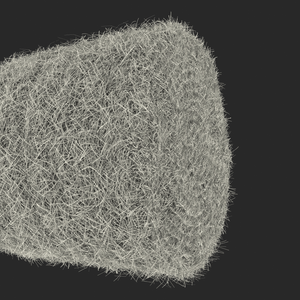 3D model Hay Roll