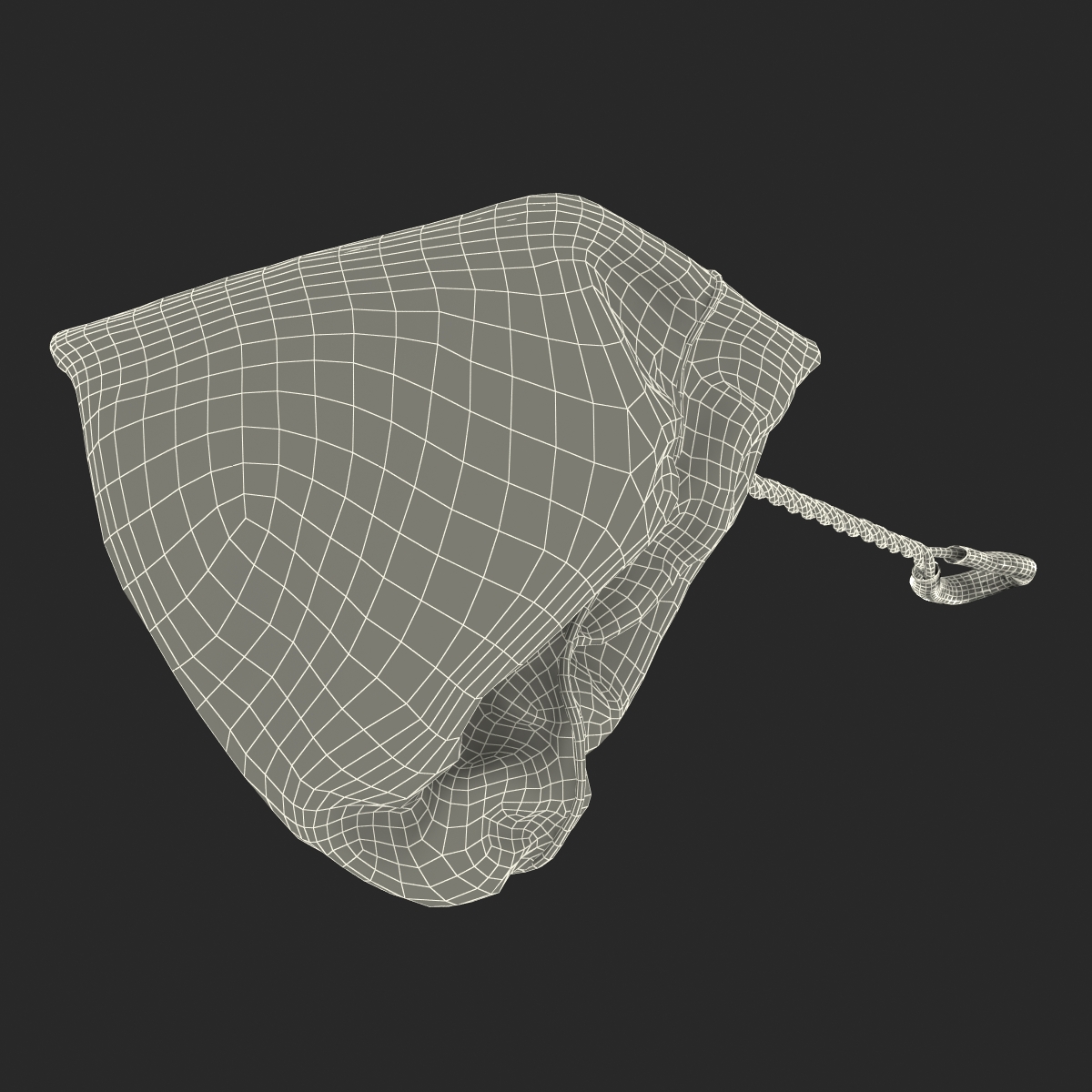 Aquarium Net 2 3D model