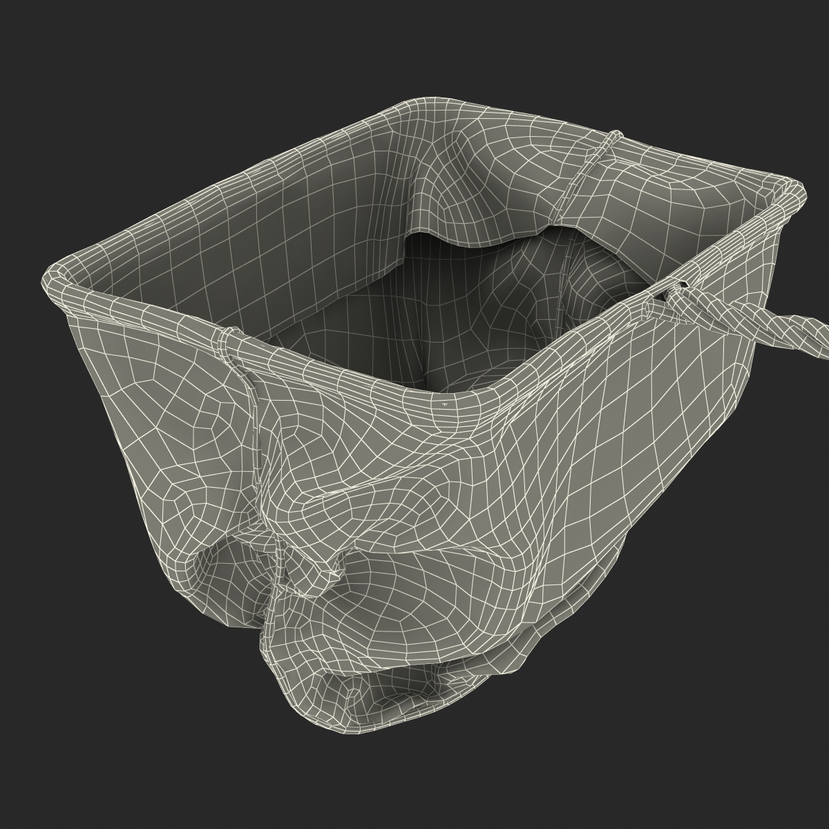 Aquarium Net 2 3D model