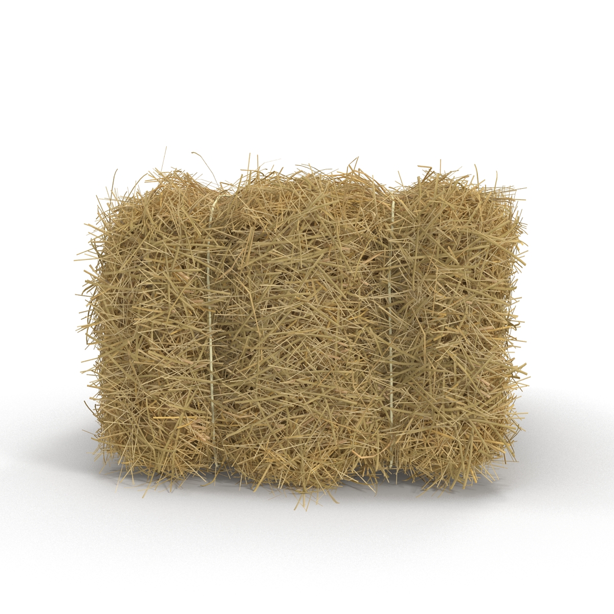 3D model Hay Bale