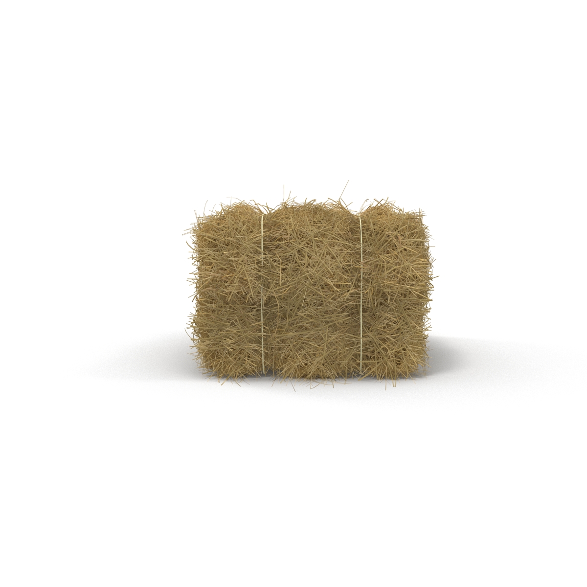 3D model Hay Bale