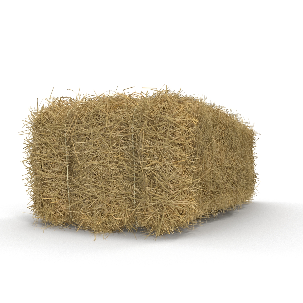 3D model Hay Bale