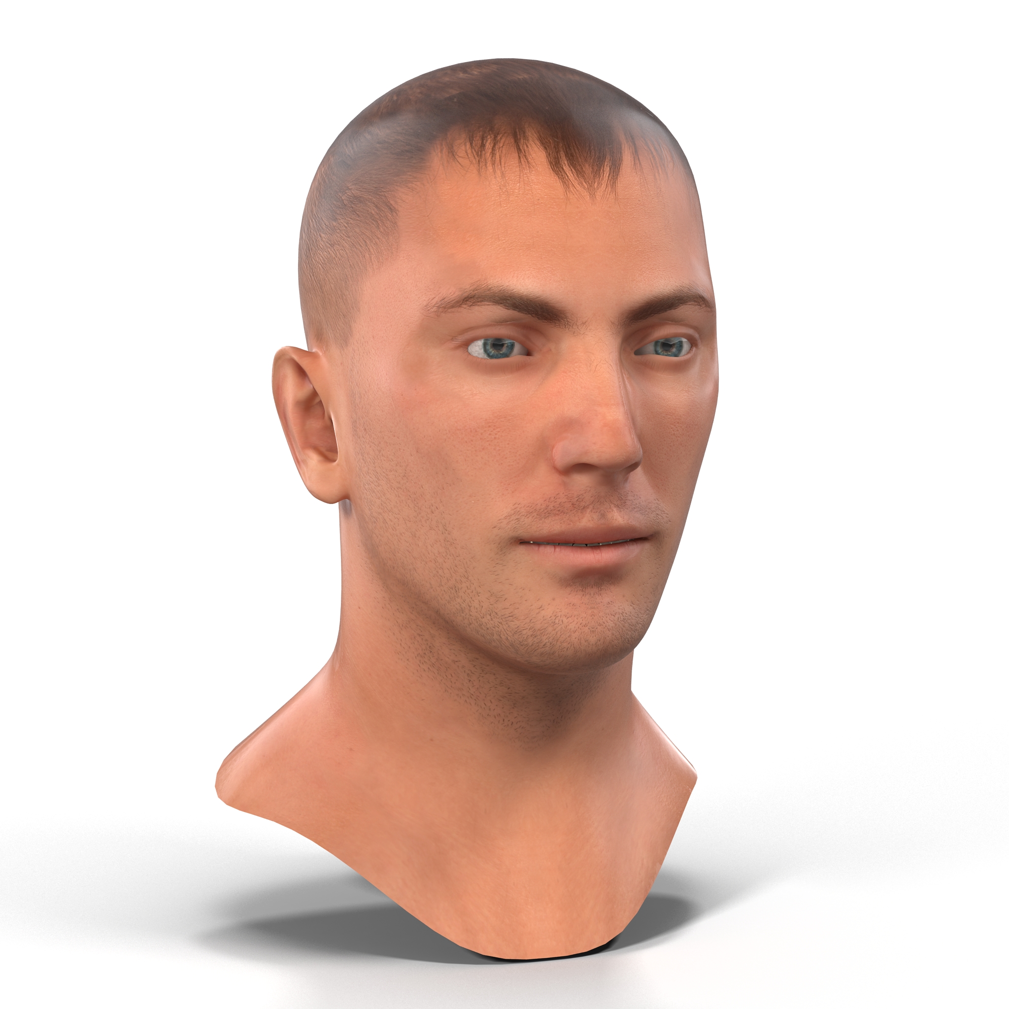 Caucasian Male Head 3D model