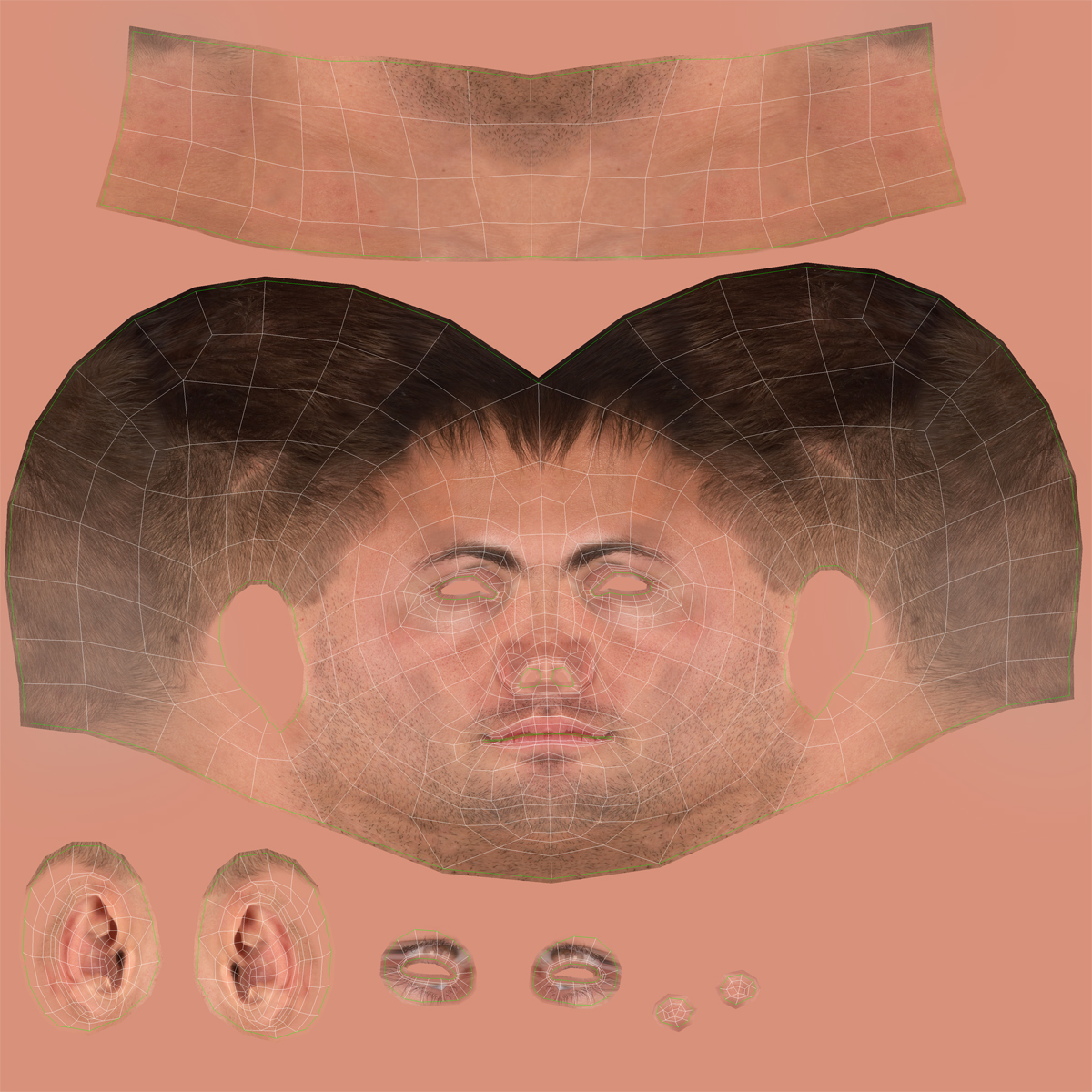 Caucasian Male Head 3D model