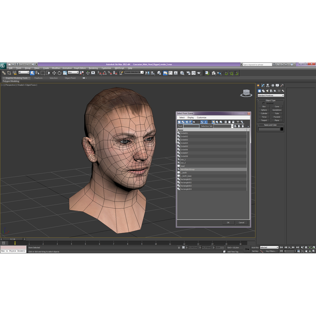 Caucasian Male Head 3D model