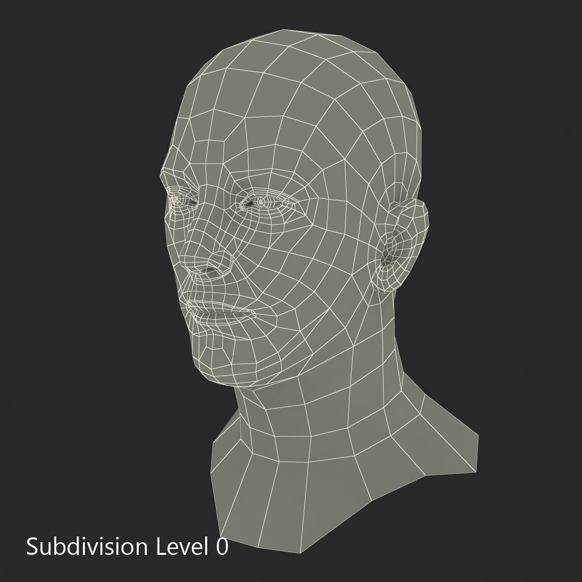 Caucasian Male Head 3D model