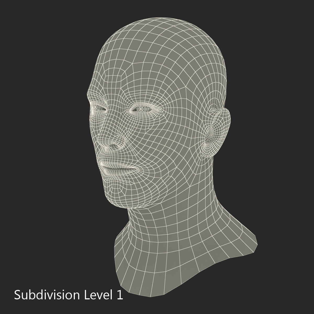 Caucasian Male Head 3D model