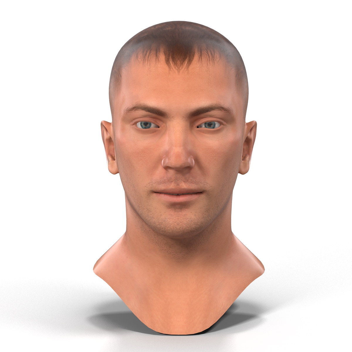 Caucasian Male Head 3D model