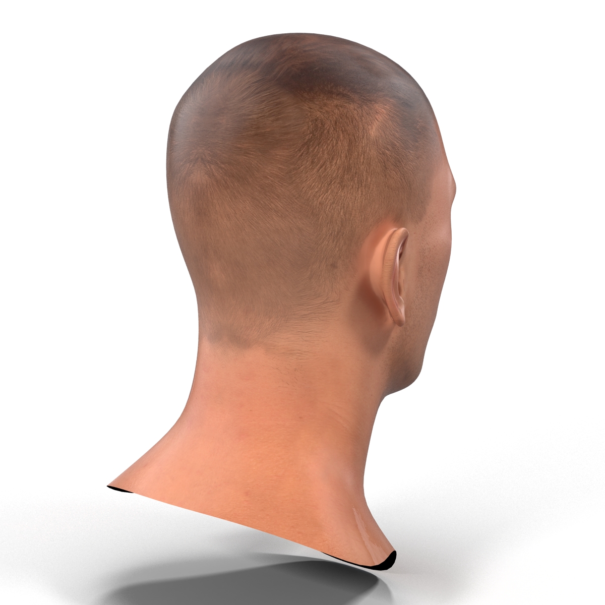 Caucasian Male Head 3D model