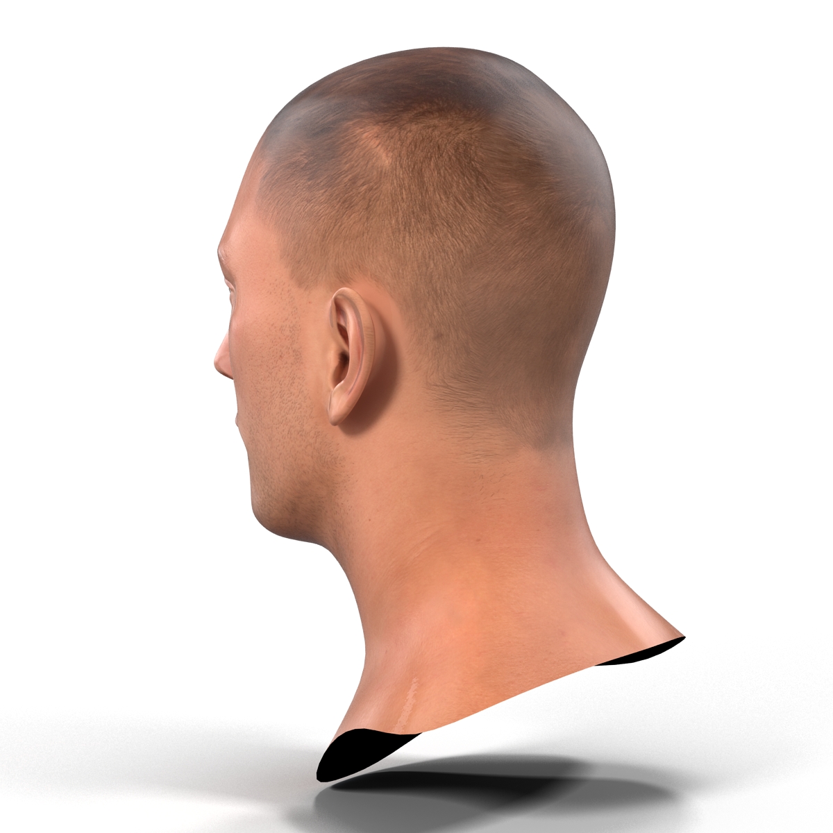 Caucasian Male Head 3D model