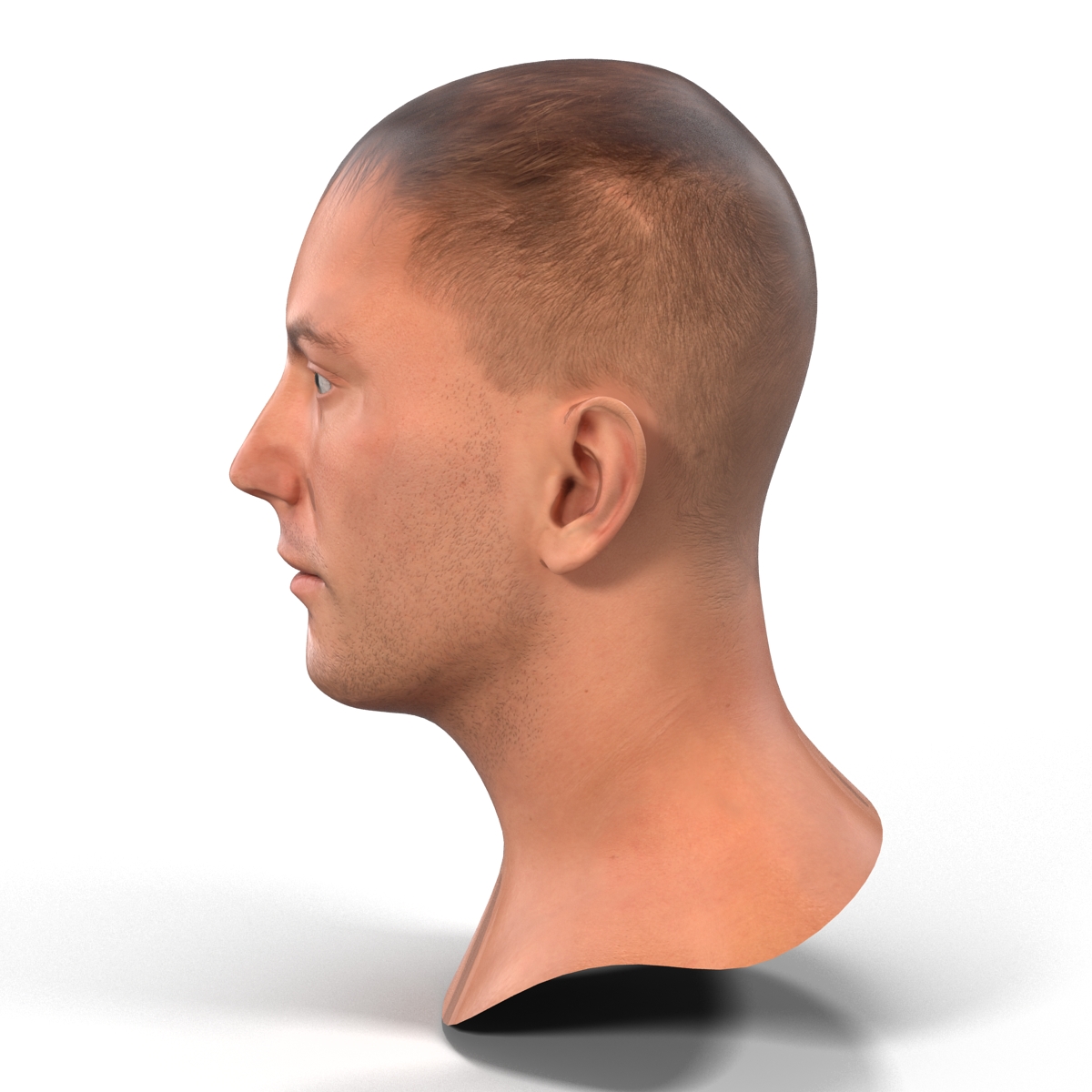 Caucasian Male Head 3D model