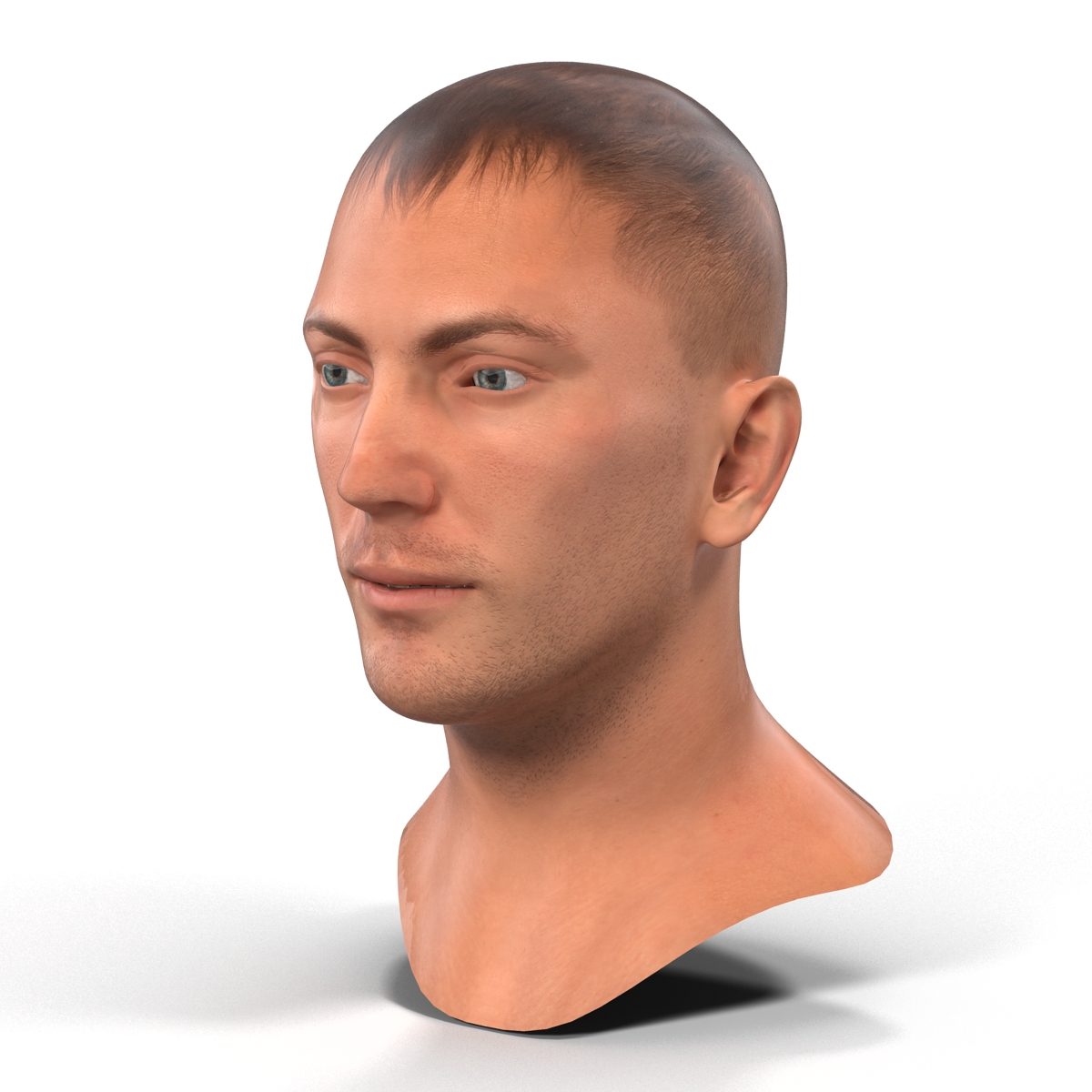 Caucasian Male Head 3D model