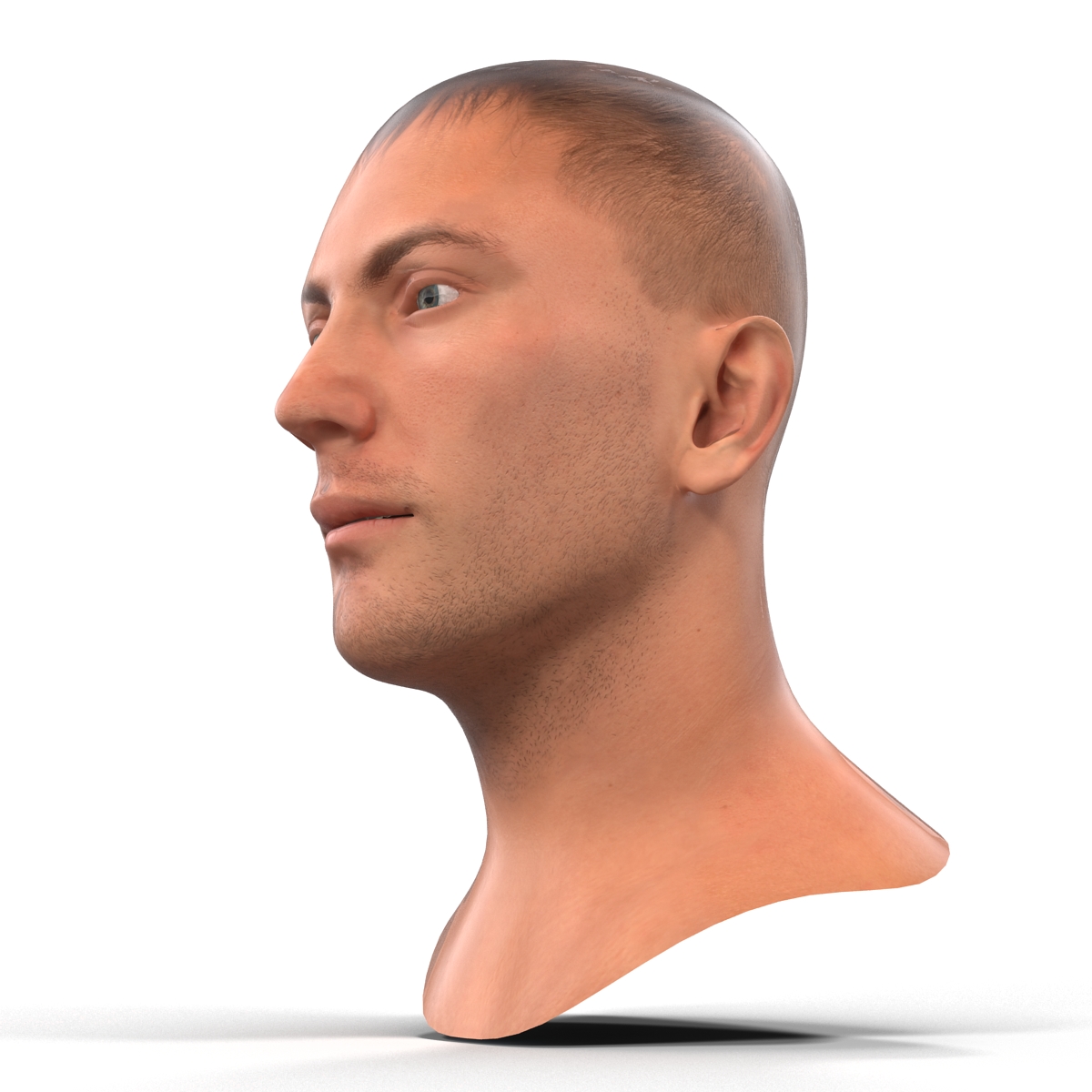 Caucasian Male Head 3D model