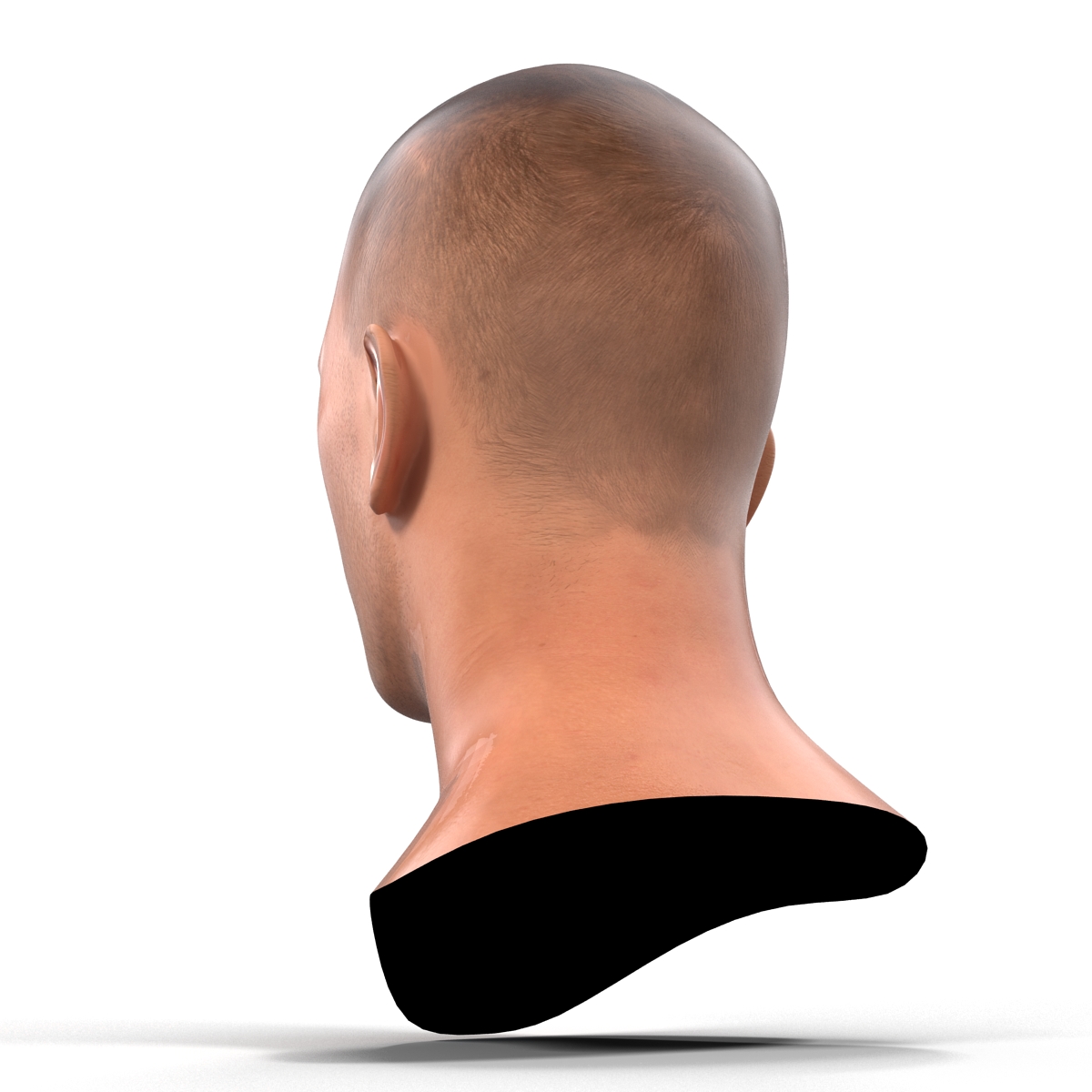 Caucasian Male Head 3D model