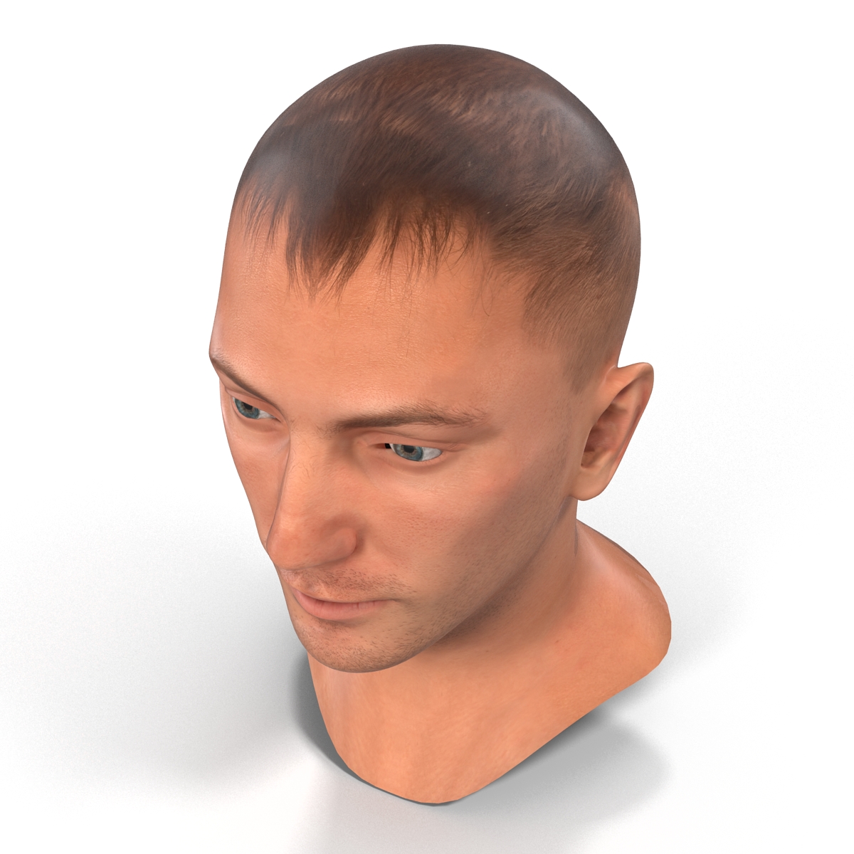 Caucasian Male Head 3D model