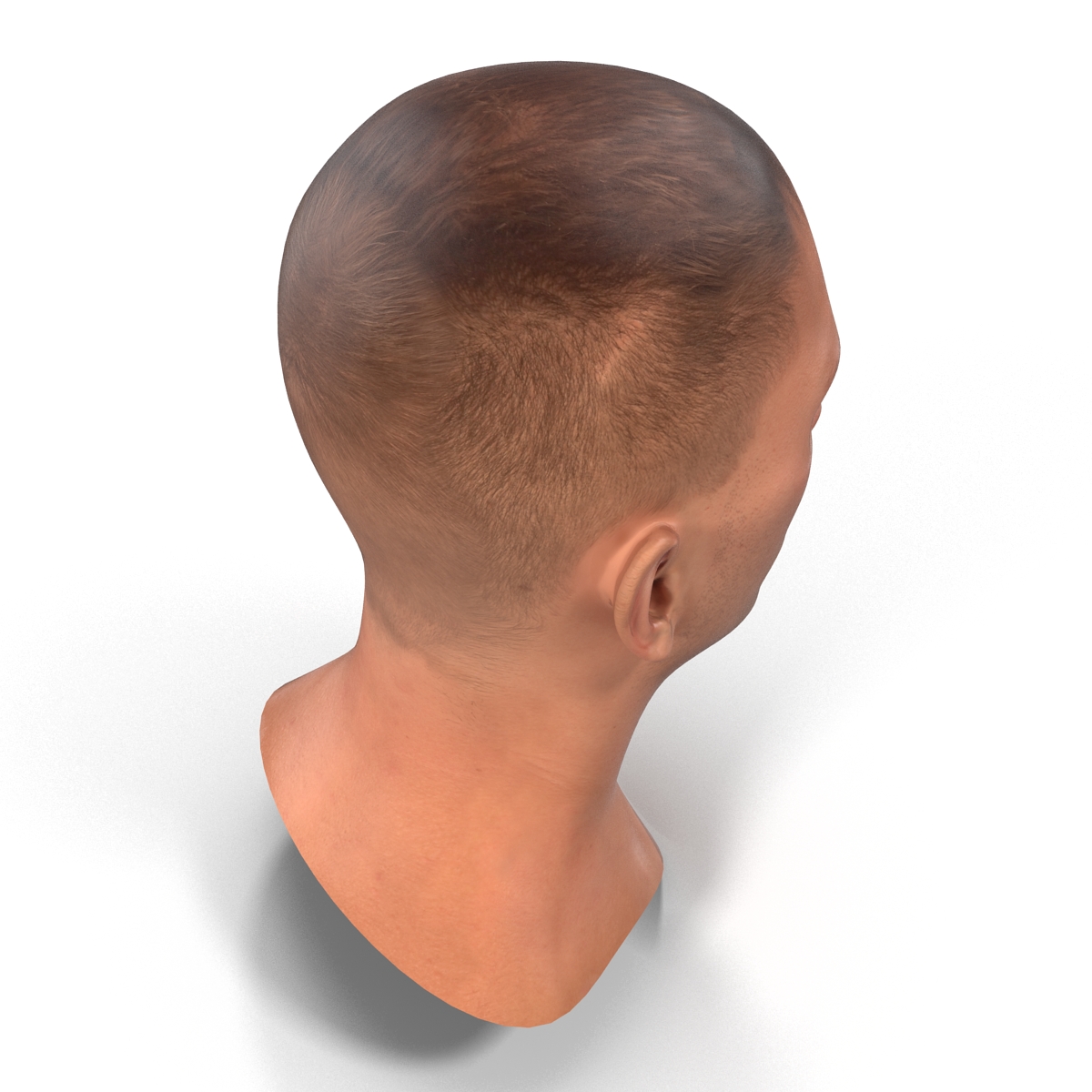 Caucasian Male Head 3D model