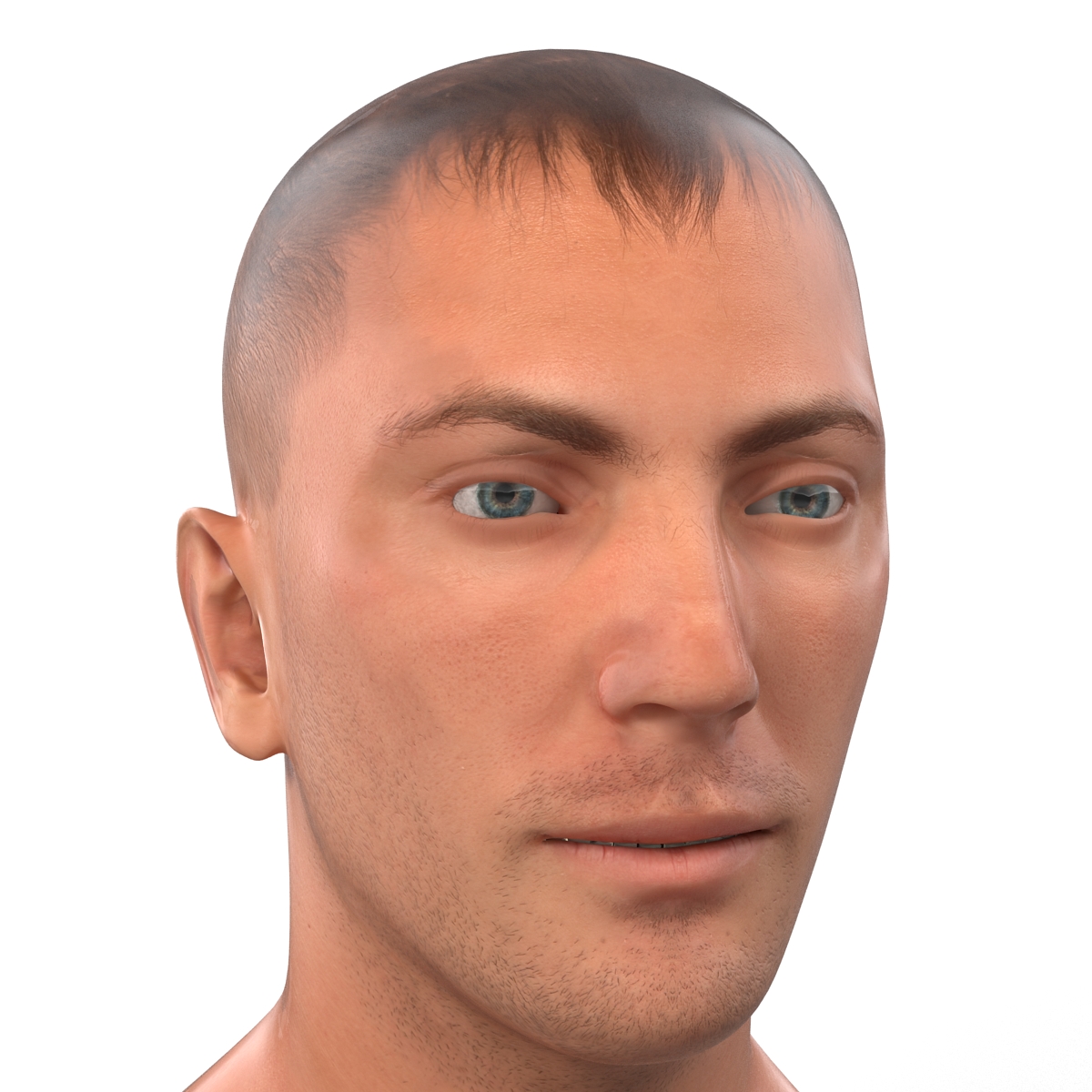 Caucasian Male Head 3D model