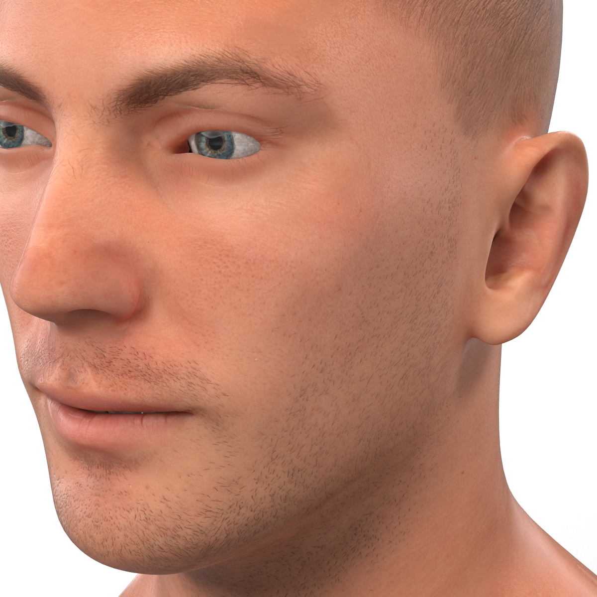 Caucasian Male Head 3D model