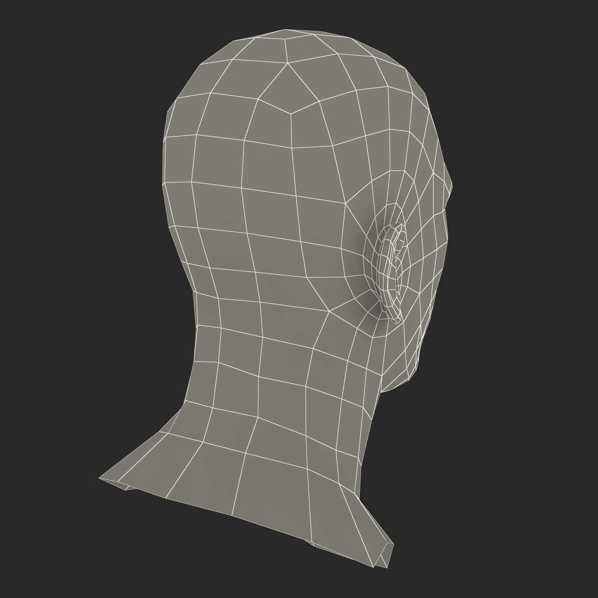 Caucasian Male Head 3D model