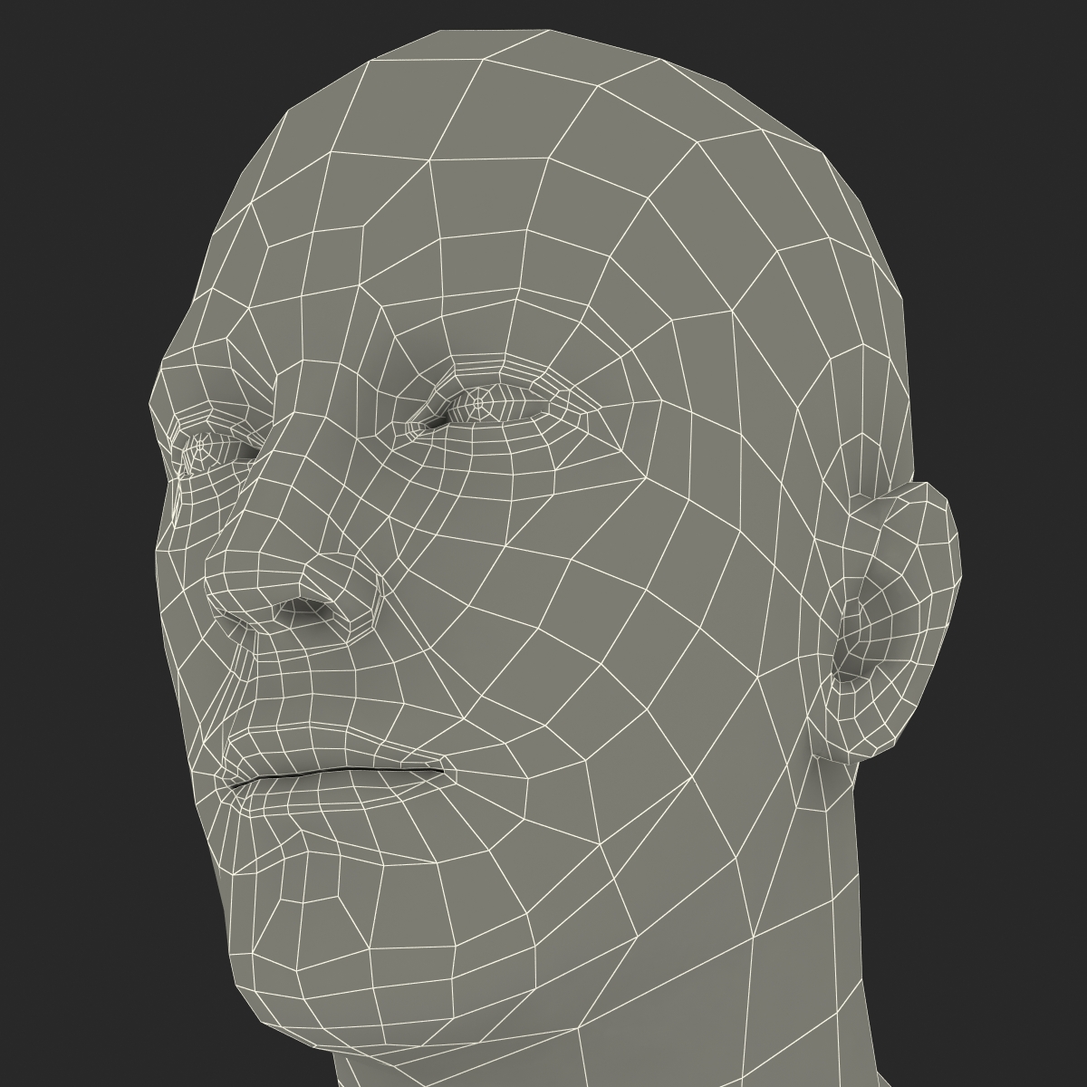 Caucasian Male Head 3D model