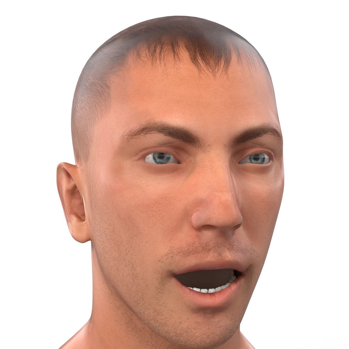 3D Caucasian Male Head Rigged