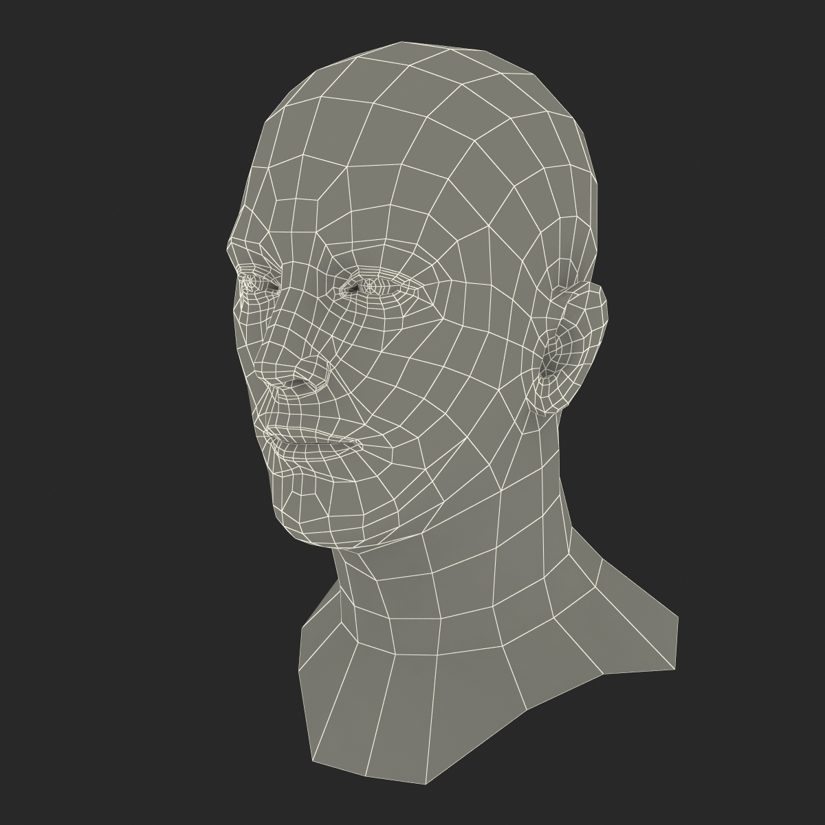 3D Caucasian Male Head Rigged