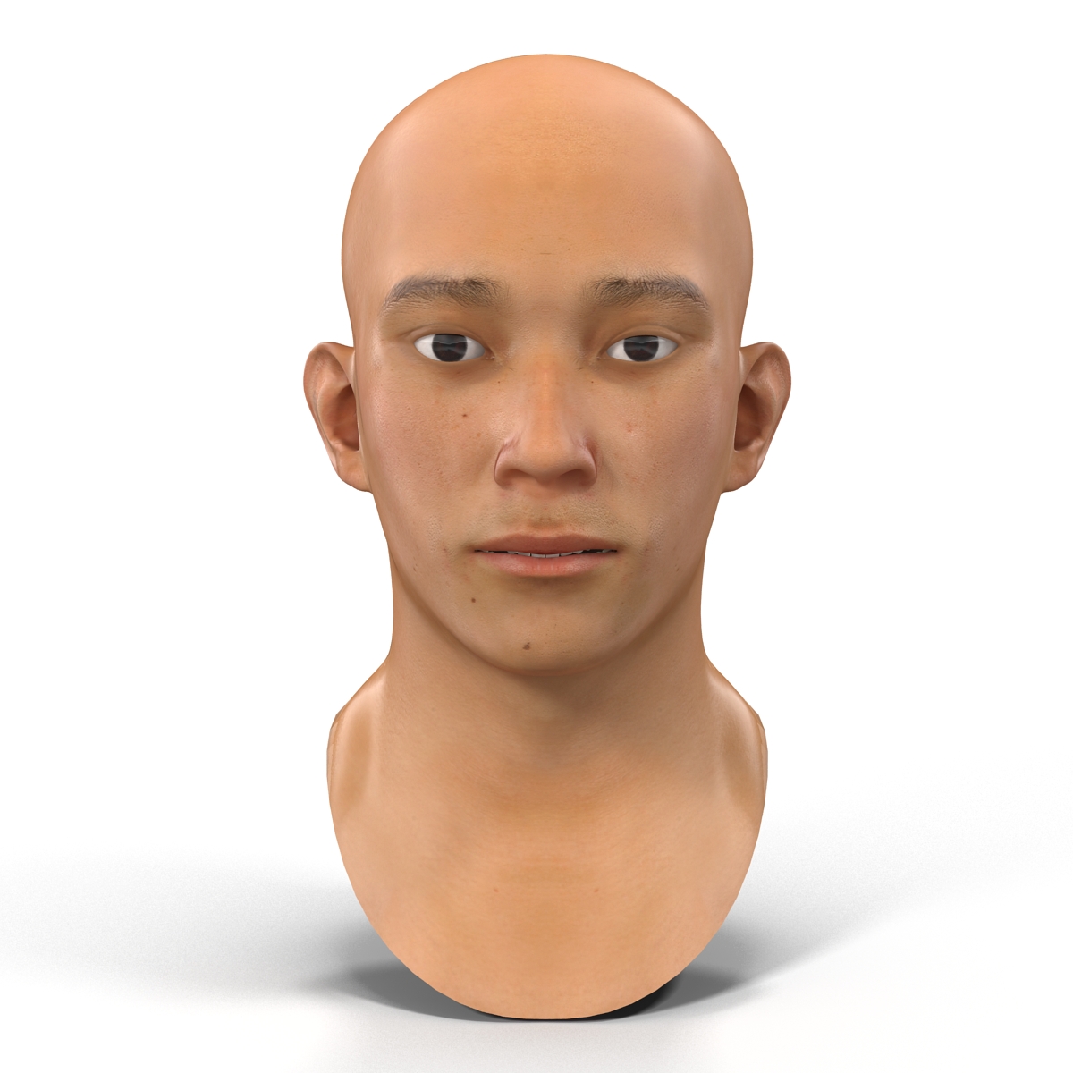 3D model Asian Male Head