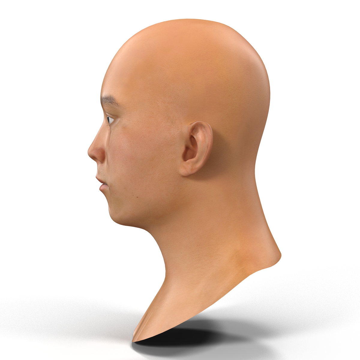 3D model Asian Male Head