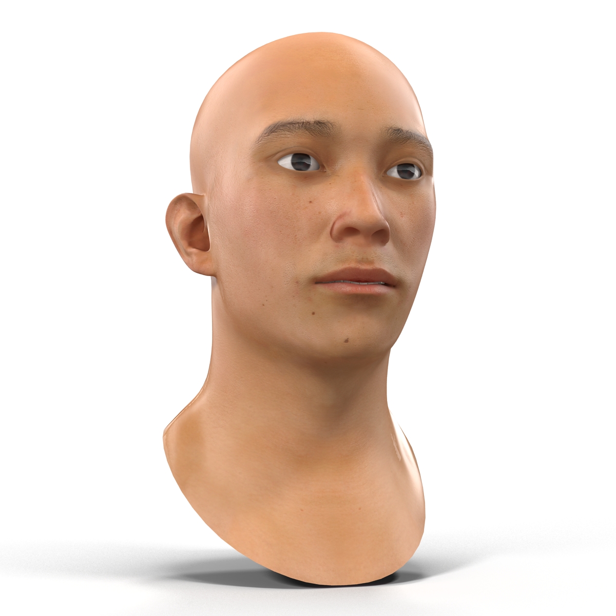 3D model Asian Male Head