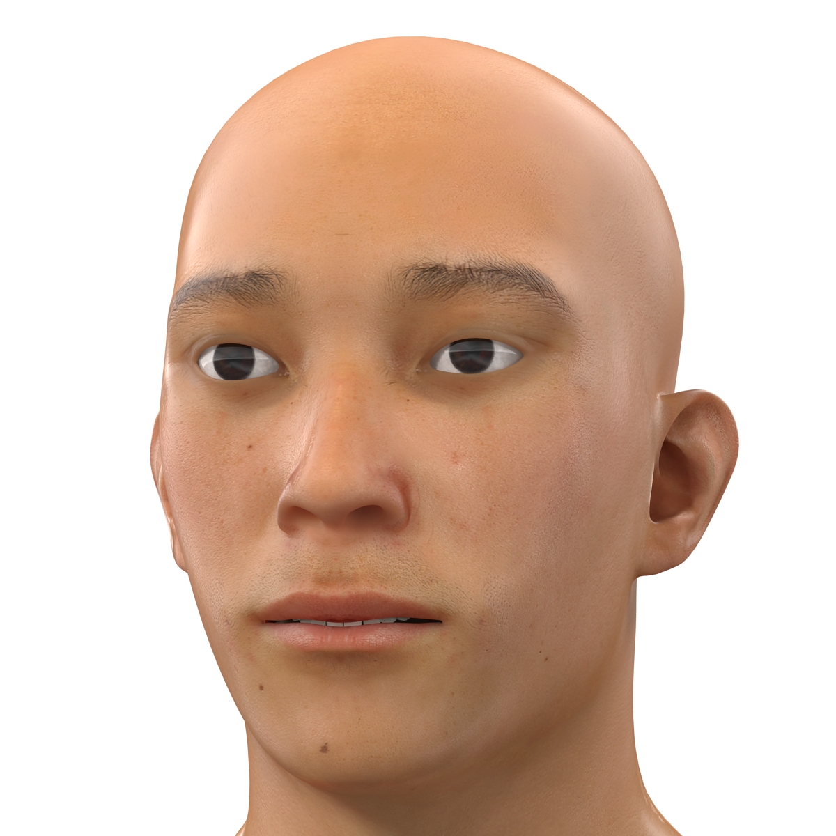 3D model Asian Male Head