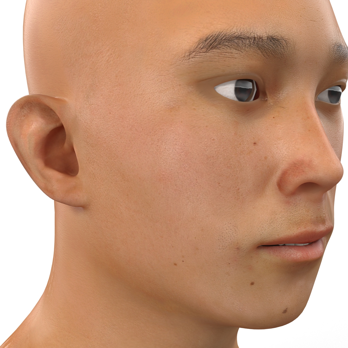 3D model Asian Male Head