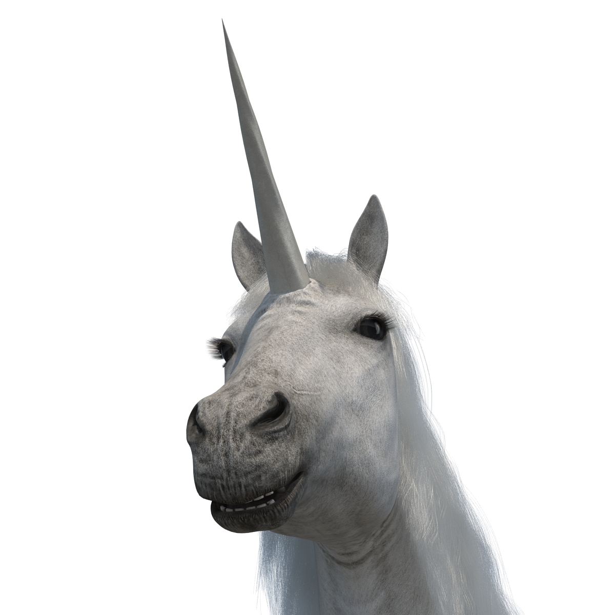 3D Unicorn with Fur