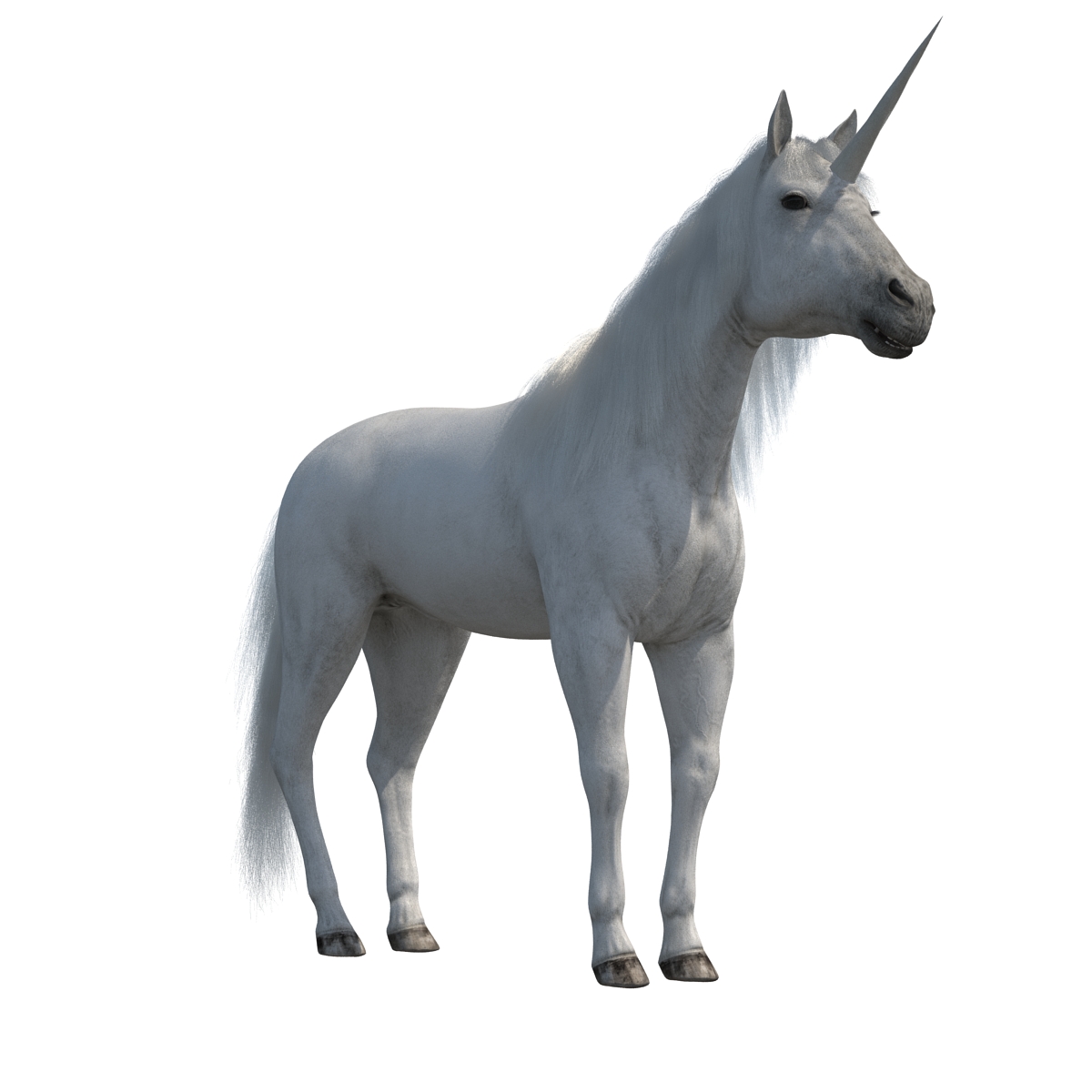 3D Unicorn with Fur