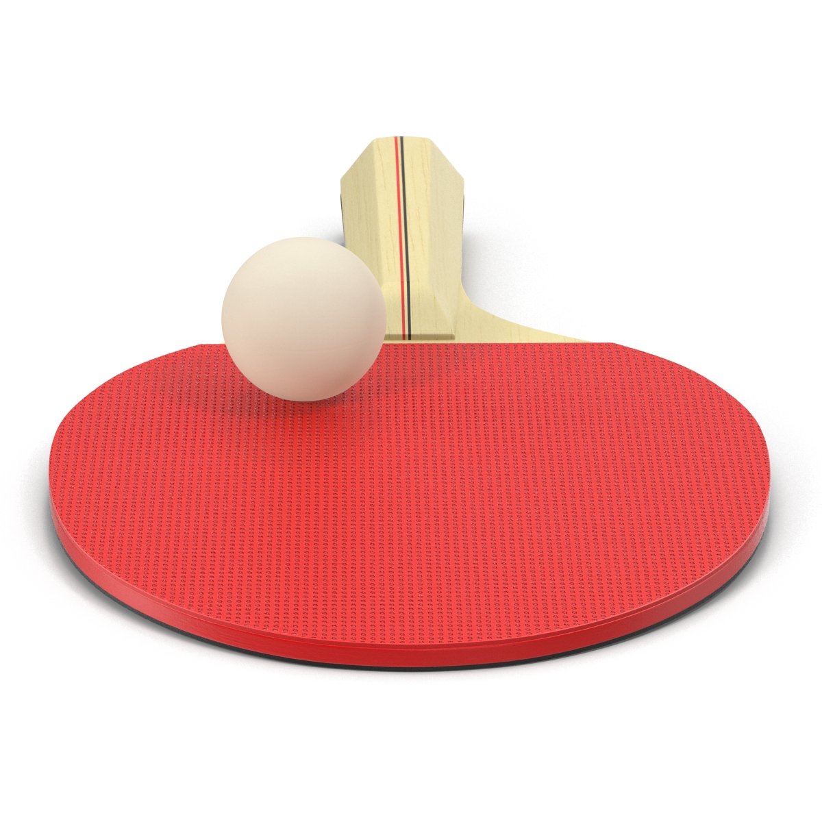 3D model Ping Pong Ball and Paddle