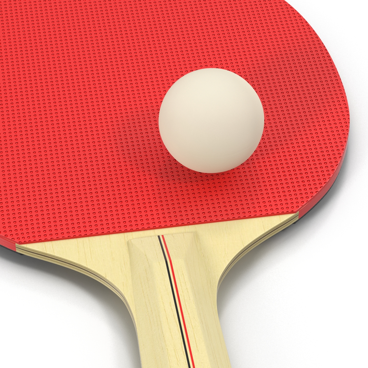 3D model Ping Pong Ball and Paddle