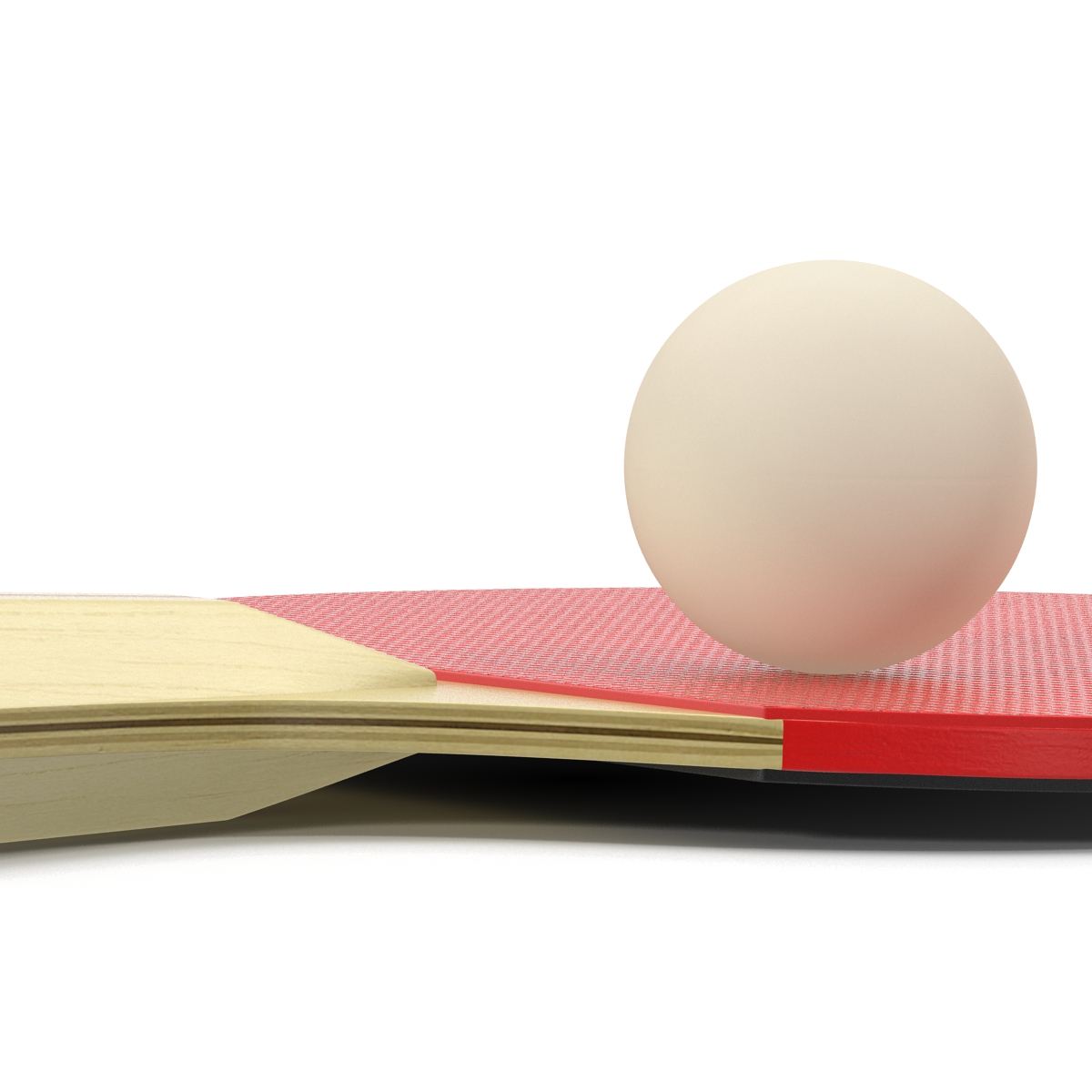 3D model Ping Pong Ball and Paddle