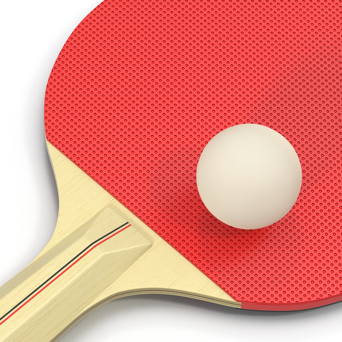 3D model Ping Pong Ball and Paddle