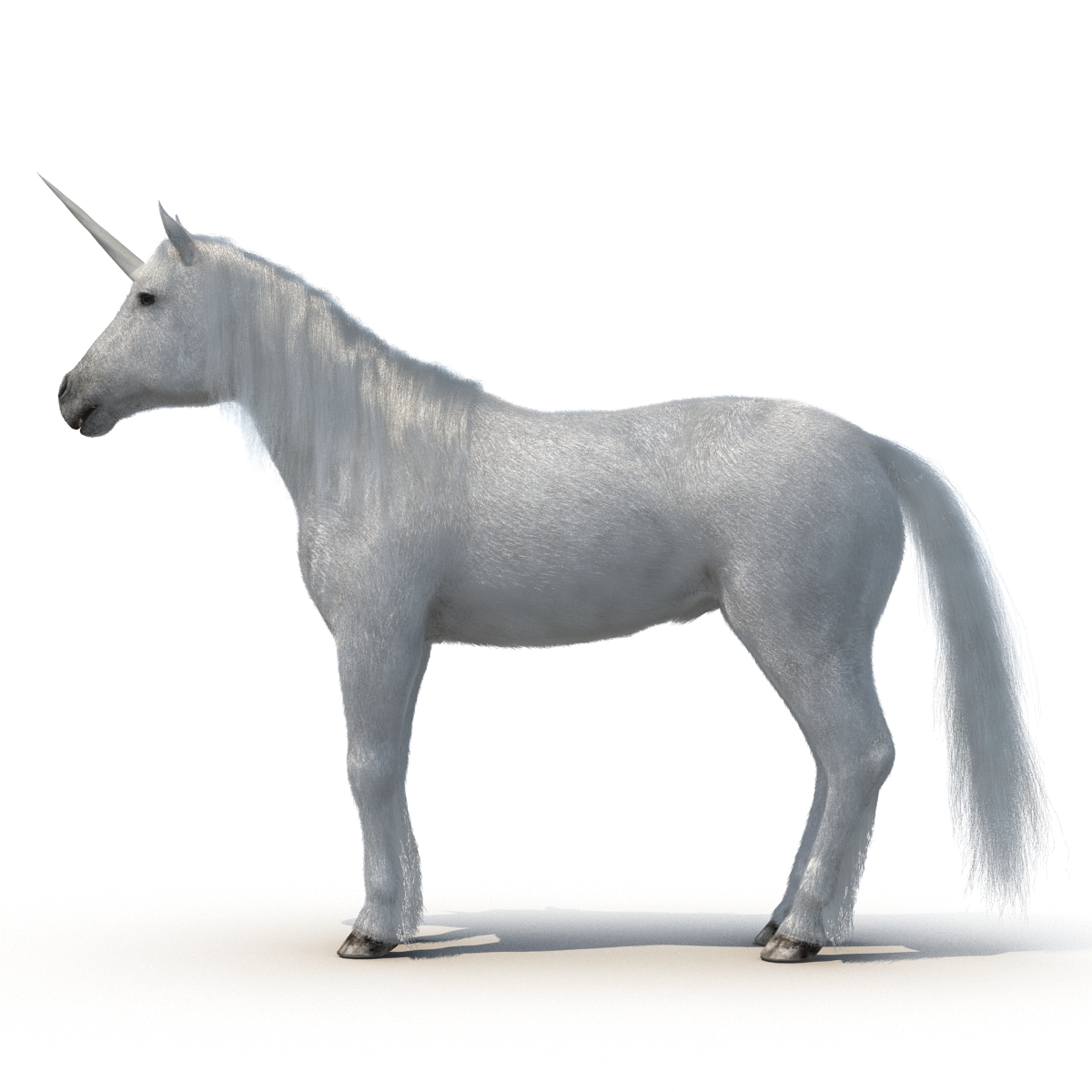 3D Unicorn with Fur 2 model