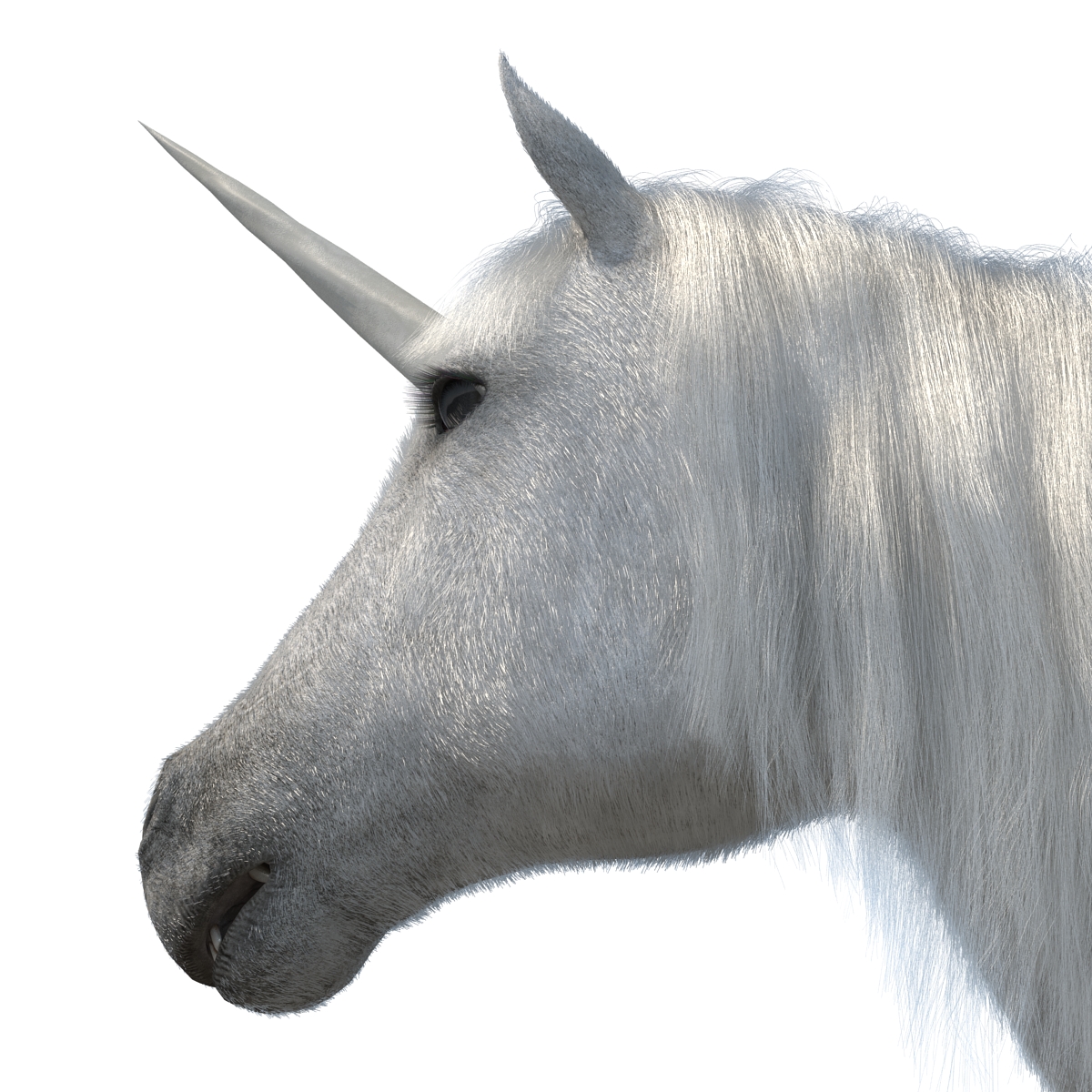 3D Unicorn with Fur 2 model