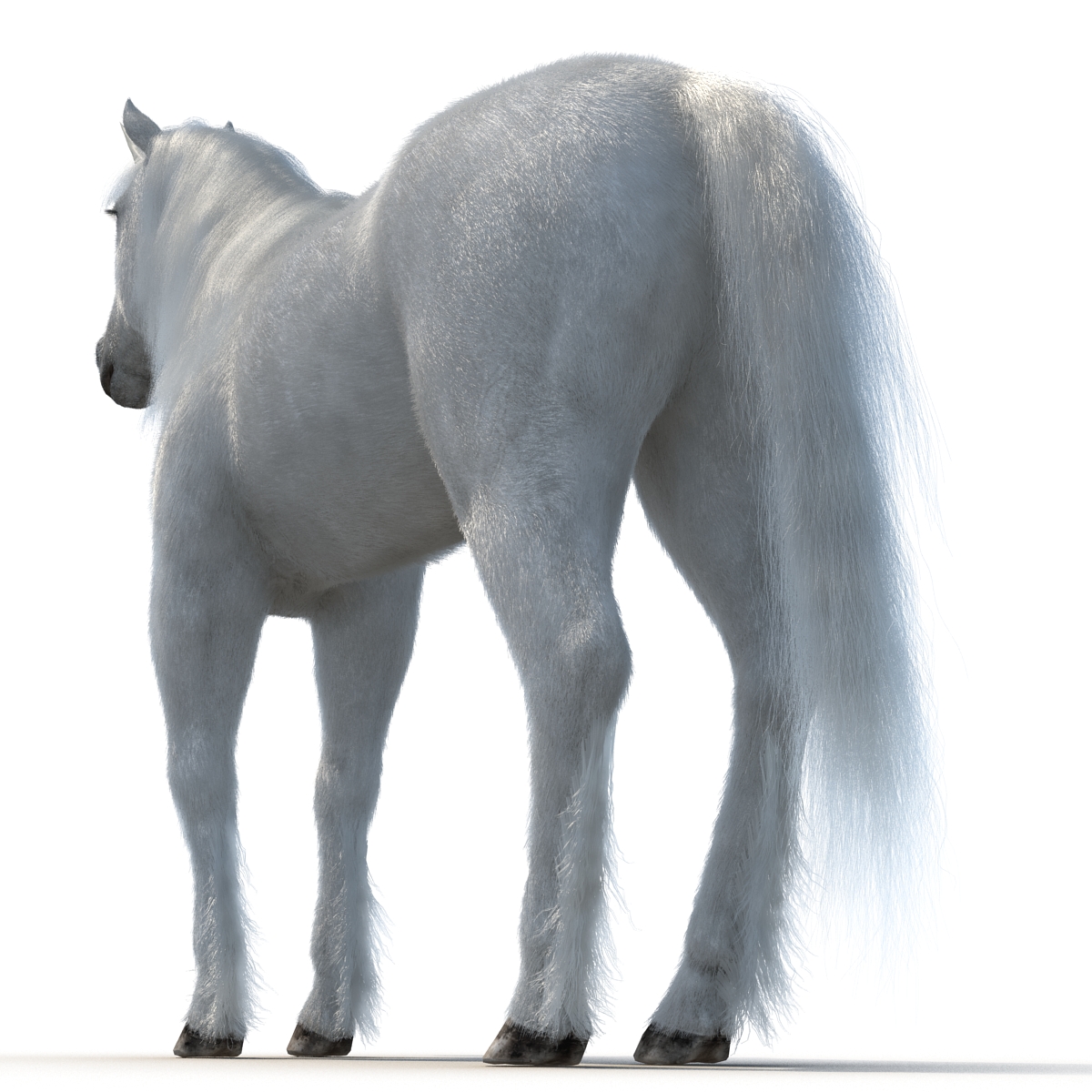 3D Unicorn with Fur 2 model