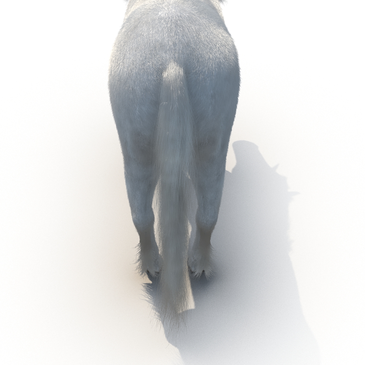 3D Unicorn with Fur 2 model