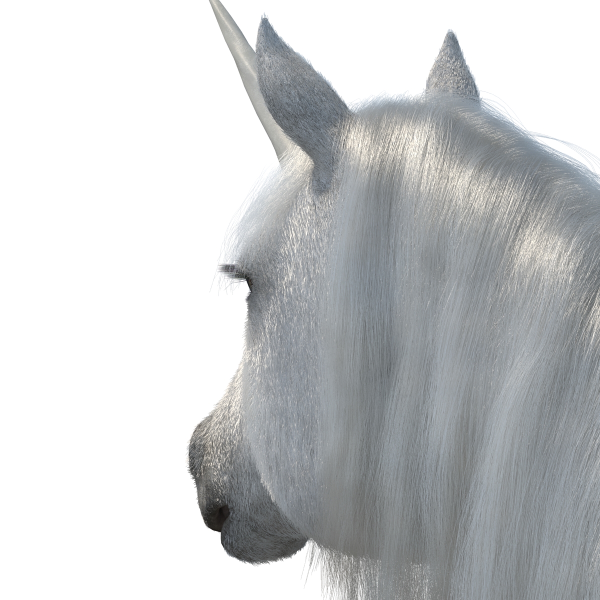 3D Unicorn with Fur 2 model