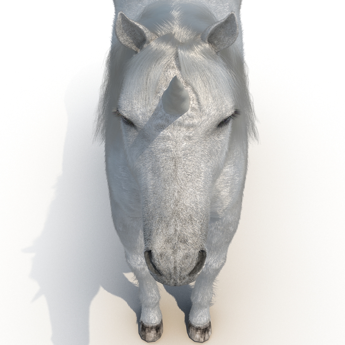 3D Unicorn with Fur 2 model