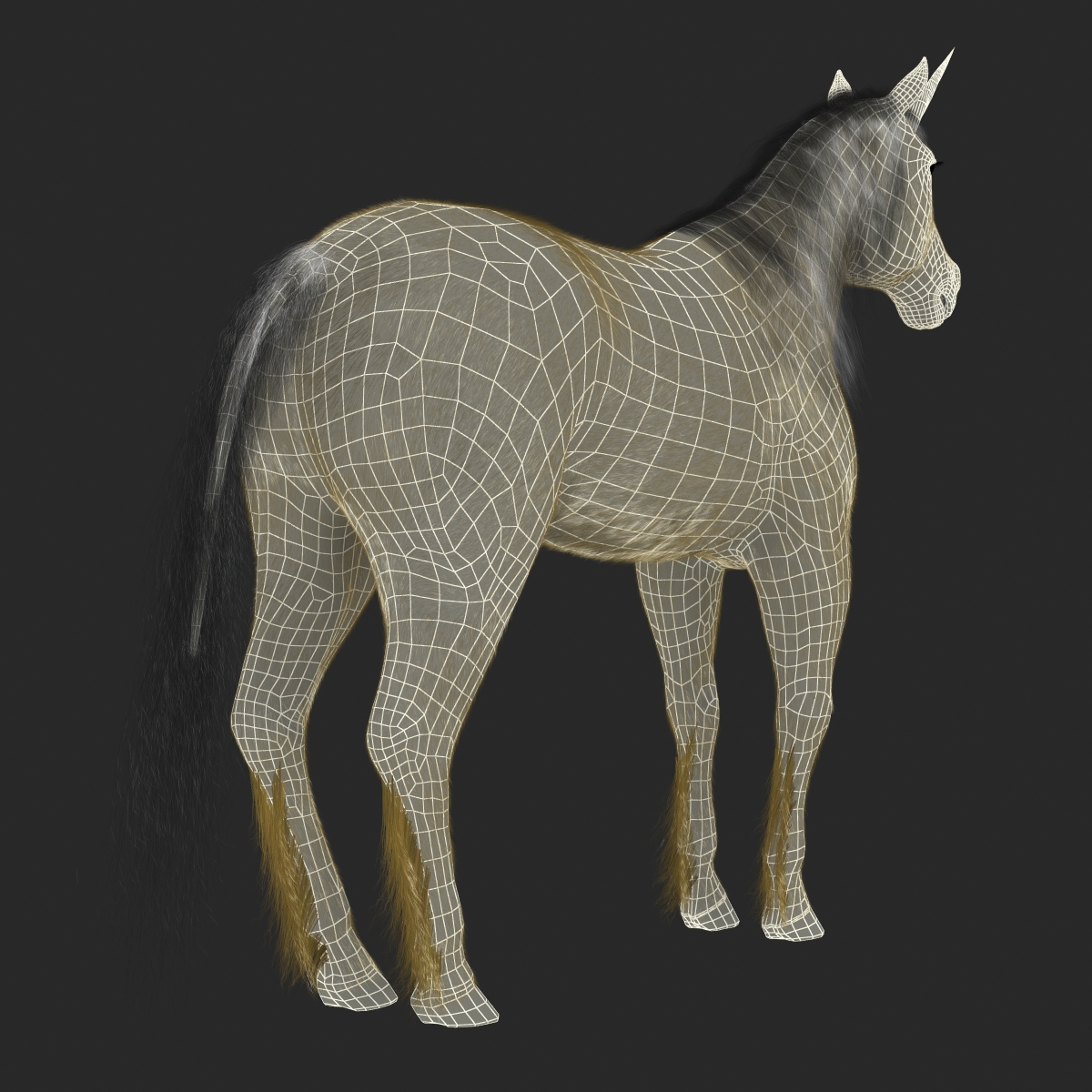 3D Unicorn with Fur 2 model